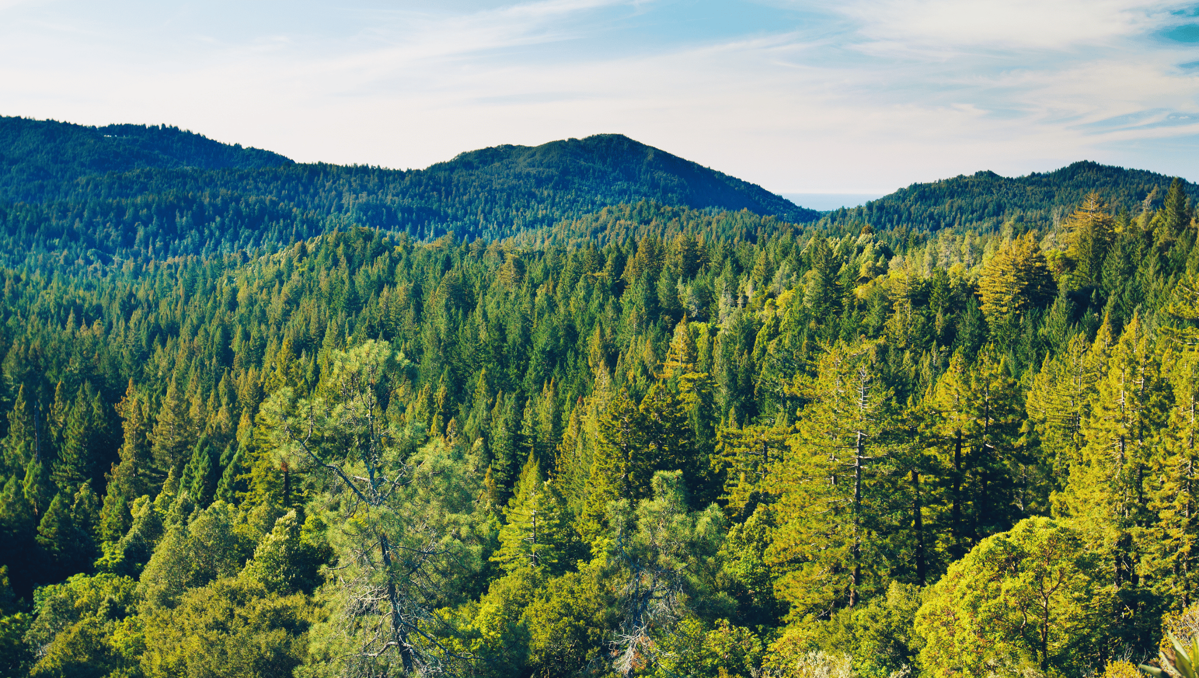 Latitude 50.389169, longitude 3.853723 : où se trouve ce point GPS ?